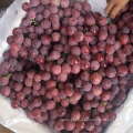 seedless grape red grape crinson grape